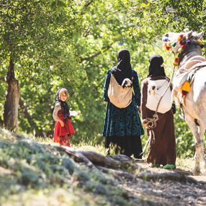 Bakhtiari Nomads Lifestyle