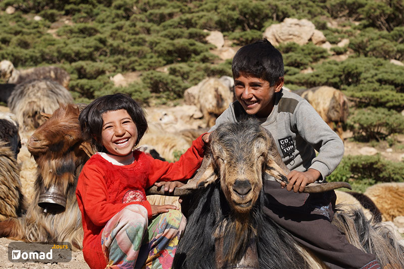 Two Nomad children surrounded by goats, laughing. The boy is having the goats' horns