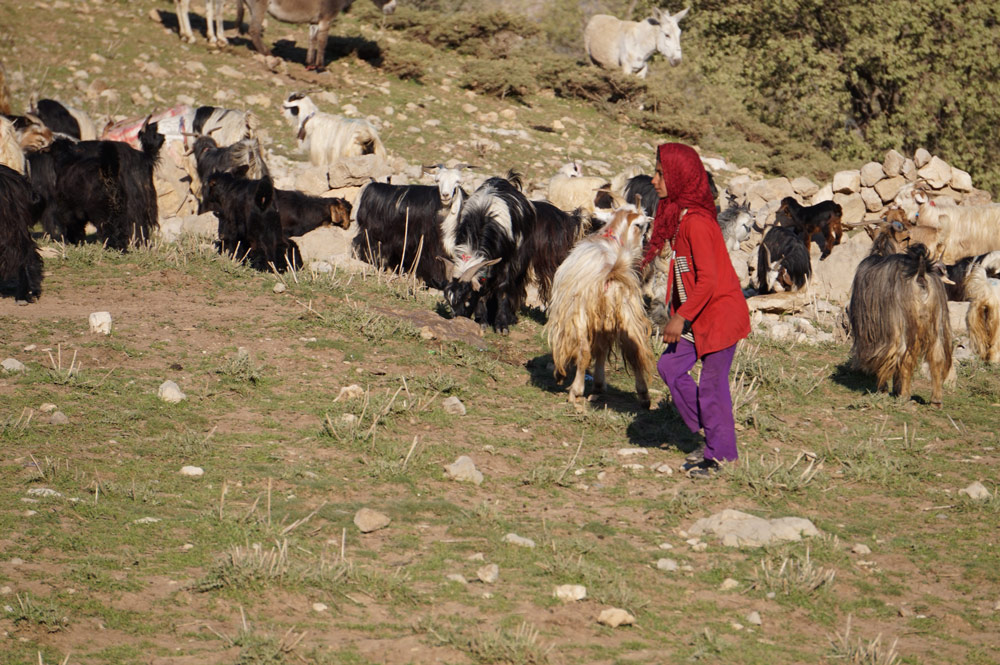 Nomad School - Experience Nature School in heart of Zagros Mountains among Bakhtiari Nomads