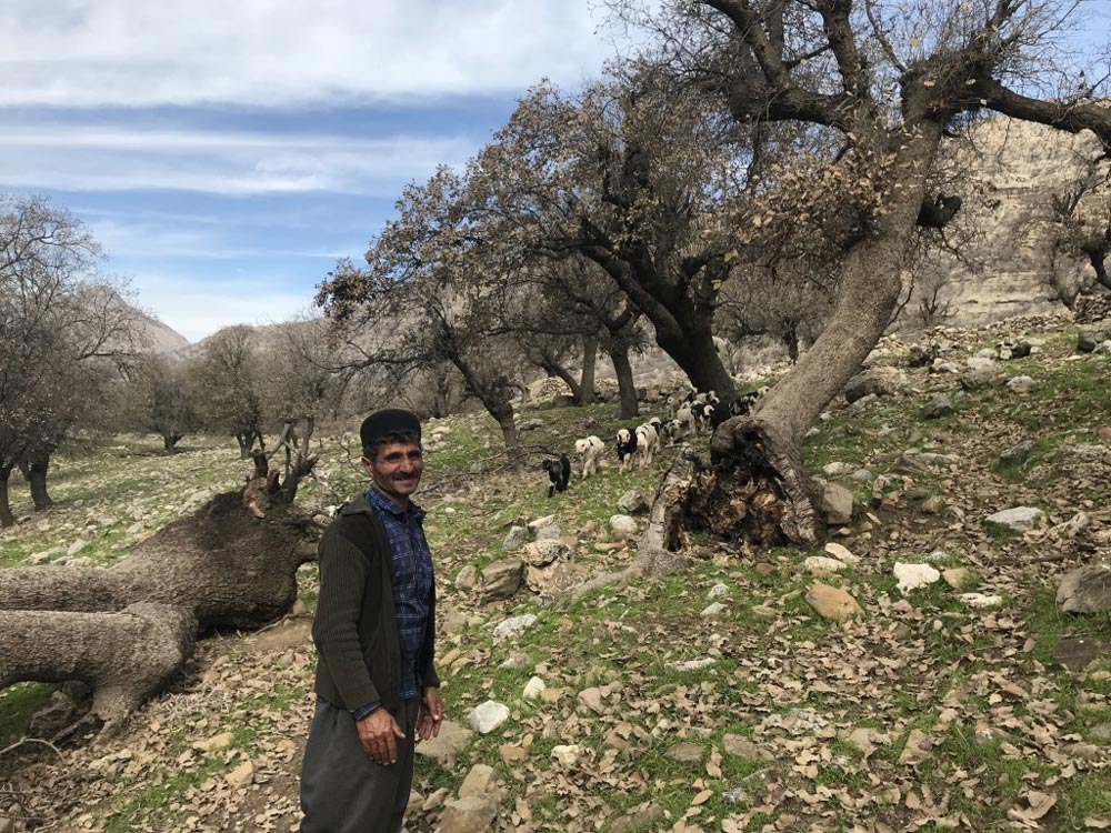 Nomadic Lifestyle - Permaculture
