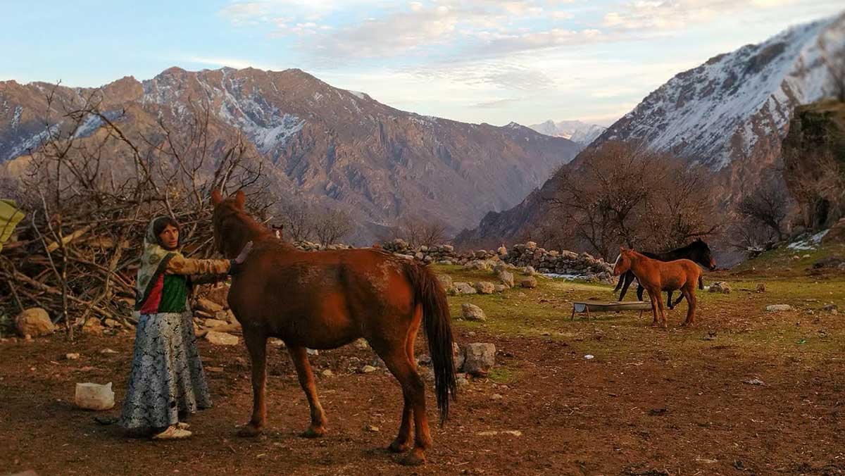 typoly of iran nomads