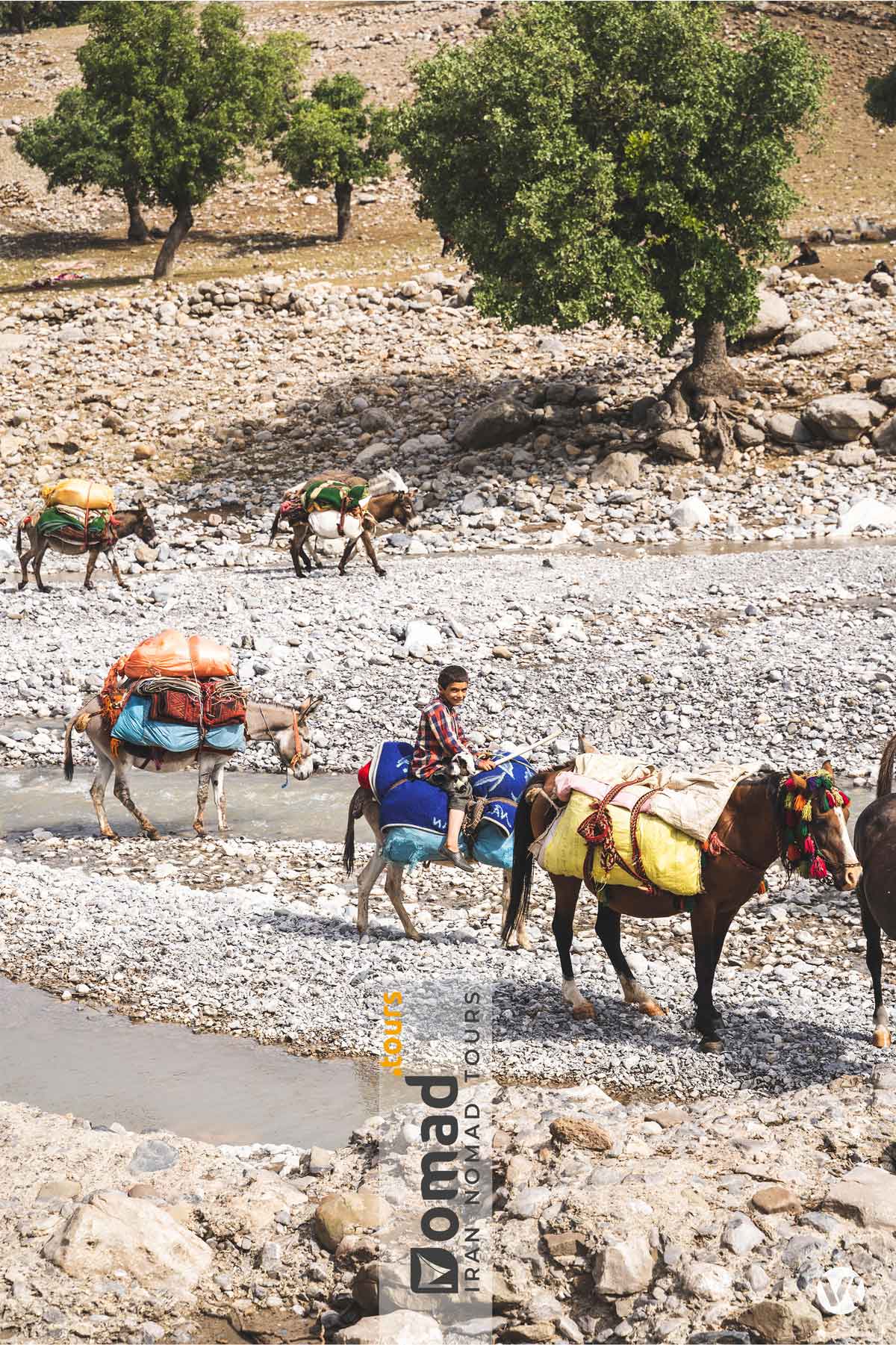 bakhtiari nomads of the zagros mountains iran