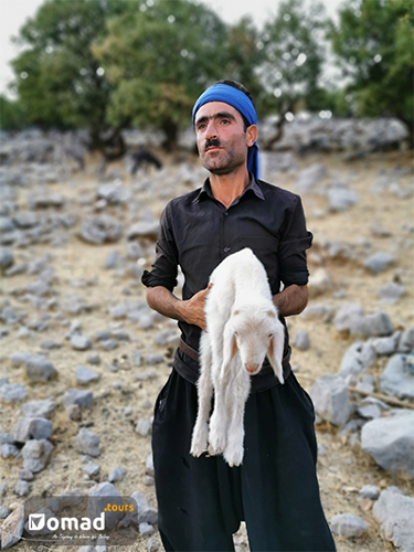 bakhtiari man nomad of iram