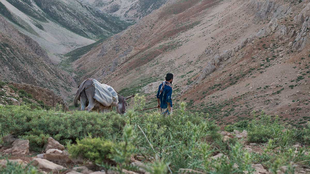 land use and lifestyle of bakhtiari nomads