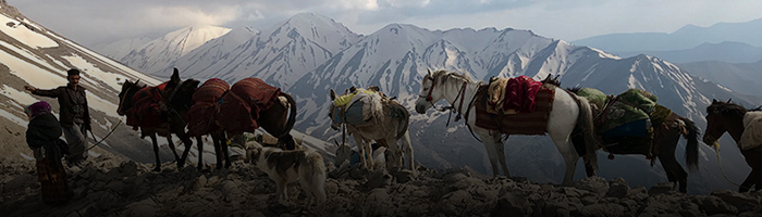a nomad & his horses & mules on top of a mountain while doing seasonal migration