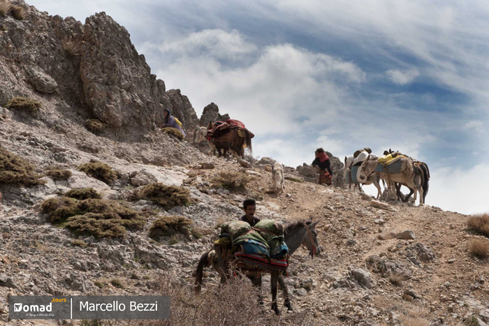 seasonal migration of iranian bakhtiari nomads- koch