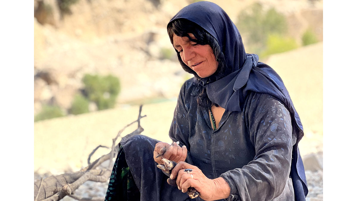 A Bakhtiari Nomad Woman