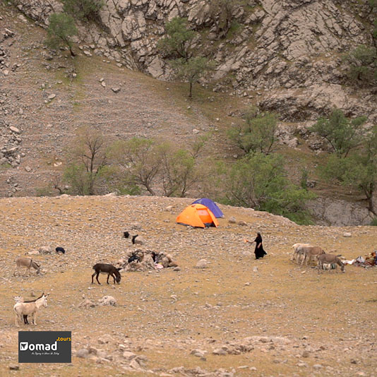 An orange camping tent in a vast nomadic pasture in the Zagros mountains